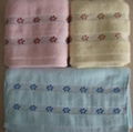 Jacquard Band Cotton Terry Hand Towels