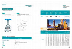 Hebei Hengtong Valve Co.,Ltd.