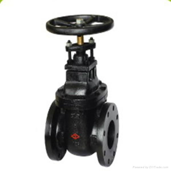 gate valve 2