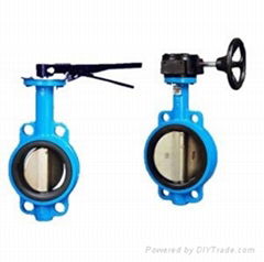 butterfly valve