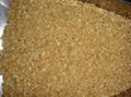 Soybean Meal 1