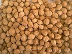 Chickpeas