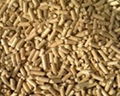 Wood Pellets 1