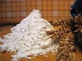 Wheat Flour 1