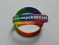 Mixed Color Silicone Wristband