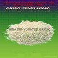 dried minced garlic dehydrated garlic