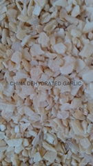 new crop garlic granules of competitive