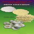 2013 dehydrated garlic granules white