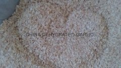 dehydrated garlic granules of good price 2013