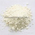 EU standard garlic powder new crop 2013