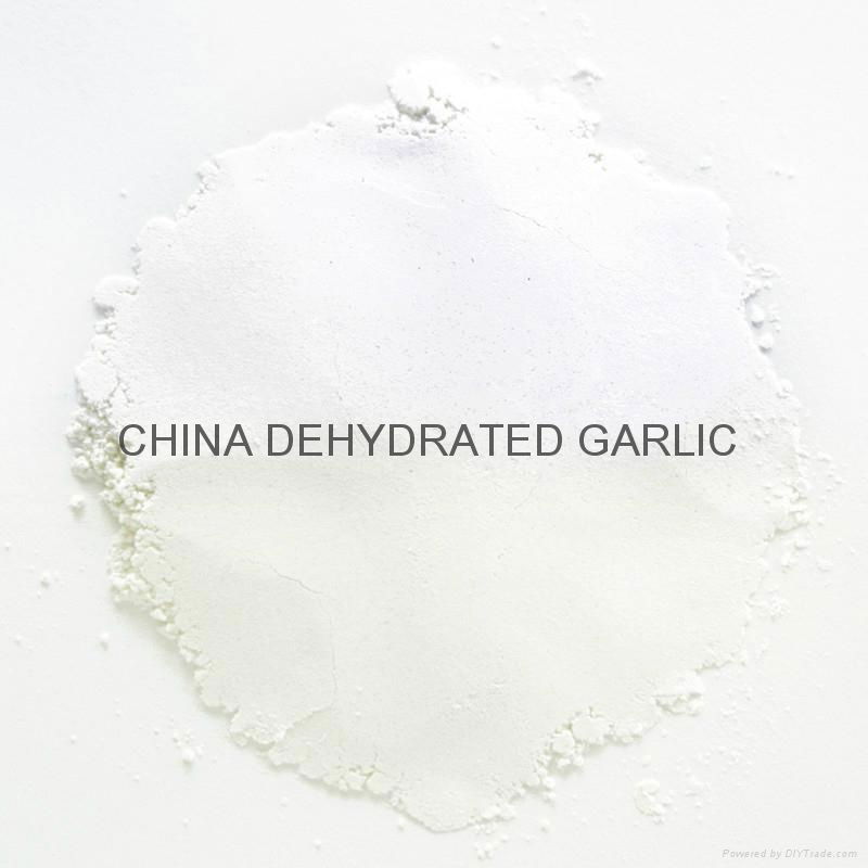 EU standard garlic powder new crop 2013 3