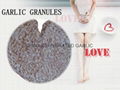 bulk dehydrated garlic granules in spices for sale