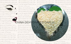 hot sell dehydrated garlic granules the