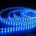 DC12V waterproof 3528 SMD LED Strip 1