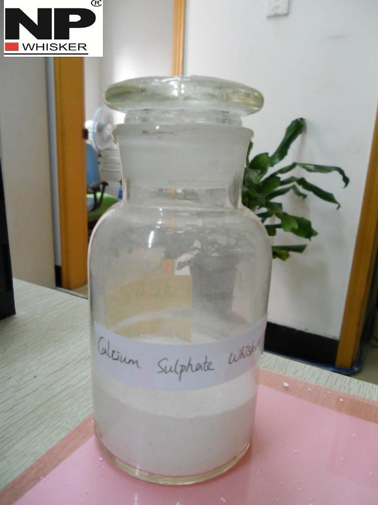 Calcium Sulfate Whisker 2