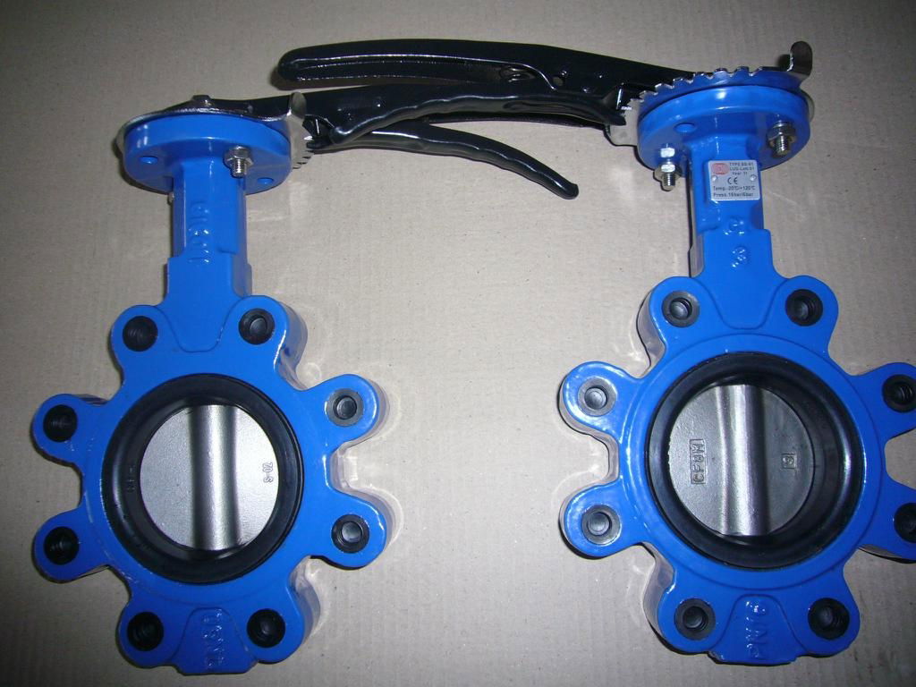 Lug butterfly valve