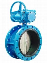Double flanged butterfly valve