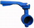 Grooved end butterfly valve