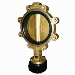 Al-bronze butterfly valve