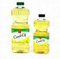 canola oil 1