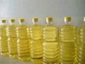 jatropha oil