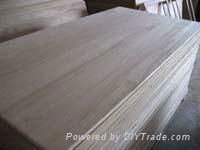 Paulownia edge glue panel