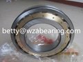 20224 OEM manufacture WZA spherical roller bearing  