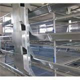 broiler cage