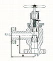 Adjustable and positive choke valve   