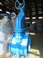 Big Size Resilient Soft Seated Gate Valve 4