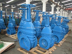 Rising Stem Metal Seated Gate Valve ANSI 125/150