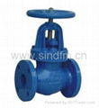 Globe Valve ANSI Class125/150