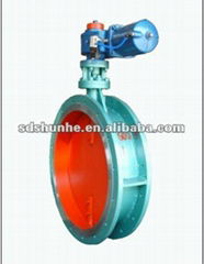 Double flange Butterfly valve