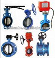 Double flange Butterfly valve