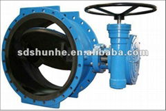 DN800 Butterfly valve