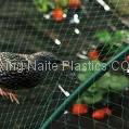 Plastic Anti-Bird Mesh / Bird Net  3