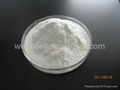 Sodium carboxymethylcellulose |cellulose gum 1