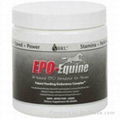 EPO Equine 1