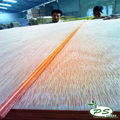 BB/BB grade Bintangor plywood for furniture