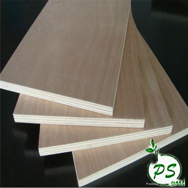 BB/BB grade Bintangor plywood for furniture 3