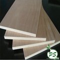 BB/BB grade Bintangor plywood for furniture 3