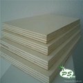 BB/BB grade Bintangor plywood for furniture 5