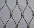 Chain Link Mesh 1