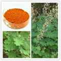 Natural Macleaya cordata Extract 10~50% Sanguinarine&chelerythrine( Alkaloids)