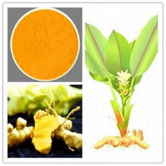 Natural Turmeric Extract 15%~95% Curcumin