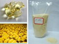 high quality food grade fish gelatin for