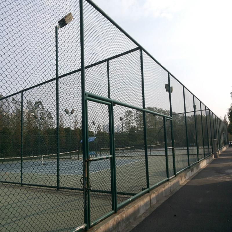 Wire Mesh Fence