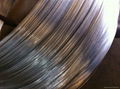 Hot Dipped Galvanized Iron Wire 2