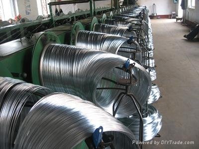 Hot Dipped Galvanized Iron Wire 4