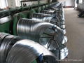 Hot Dipped Galvanized Iron Wire 4